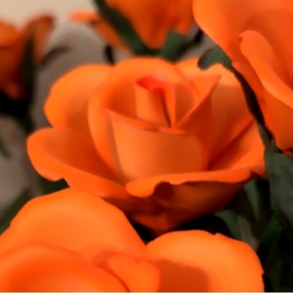 Meet your Posher - Picture 1 of 1